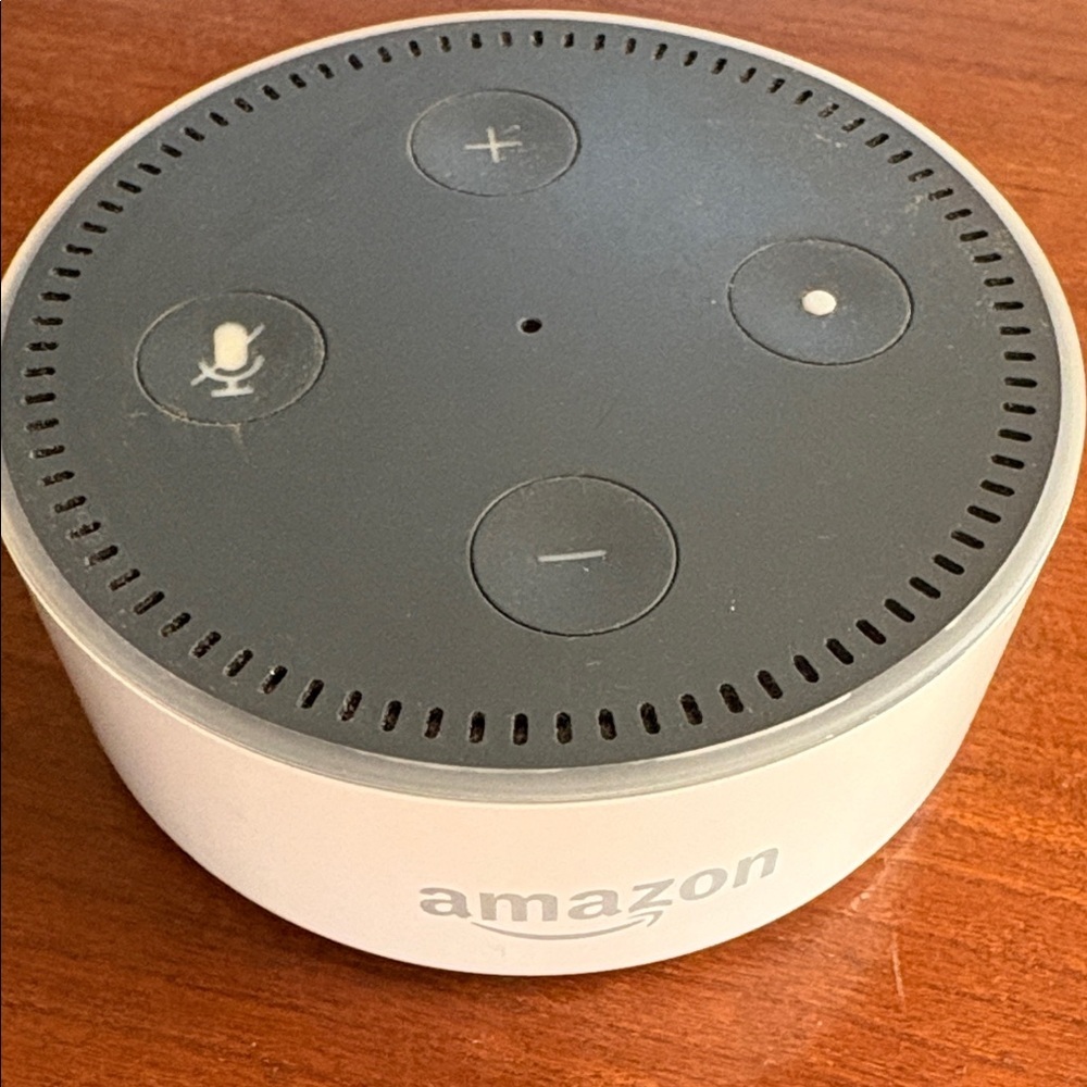 Amazon Echo Dot - Gray and White